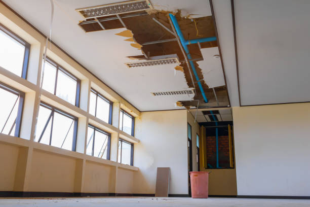 Best Sewage cleanup and water damage restoration  in Hopewell, NJ