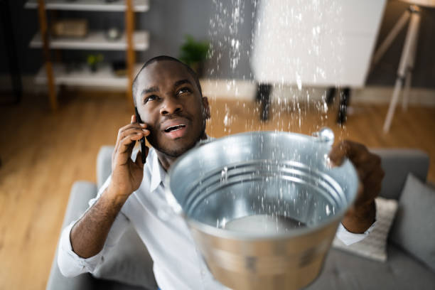 Best Flood damage cleanup  in Hopewell, NJ