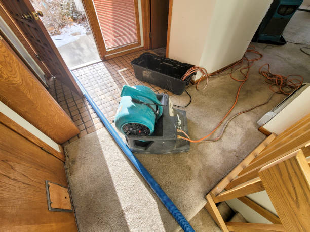 Best Water damage restoration services  in Hopewell, NJ