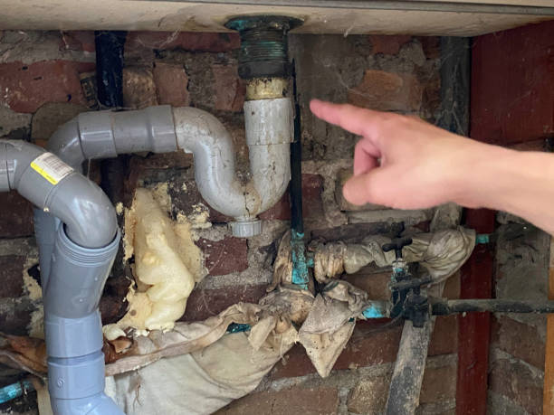 Best Basement water damage restoration  in Hopewell, NJ