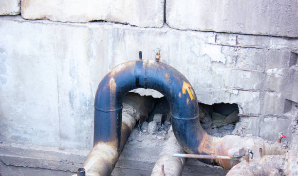 Best Mold removal after water damage  in Hopewell, NJ